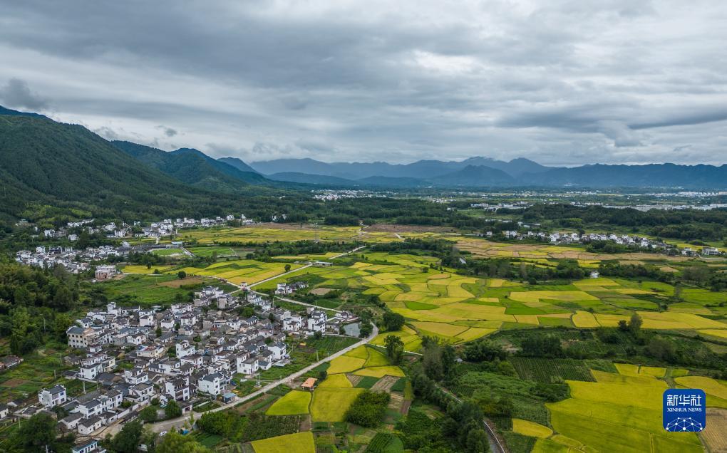 免费=彩金白菜网